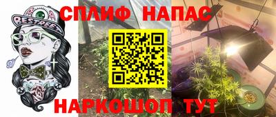 МДПВ Можга
