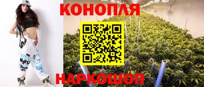 МДПВ Можга