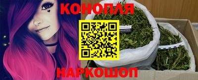 ALPHA PVP Моздок
