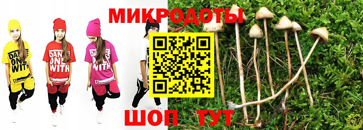 Псилоцибиновые грибы Cubensis Ухта